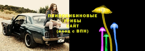 молекула духа Алзамай