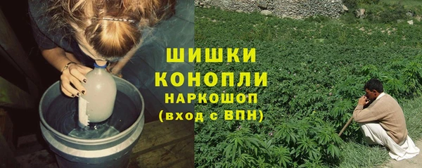 молекула духа Алзамай