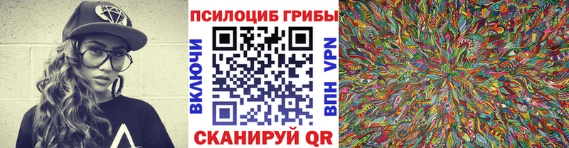 где продают   kraken ссылки  Псилоцибиновые грибы Psilocybe  Кола 